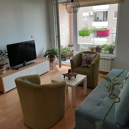 Ivan2020 Apartment スコピエ エクステリア 写真